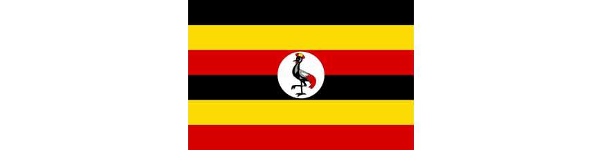 Uganda